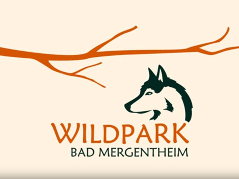 Wolfsrudel und Waldrapp: extrem seltene Tiere im Wildpark Bad Mergentheim