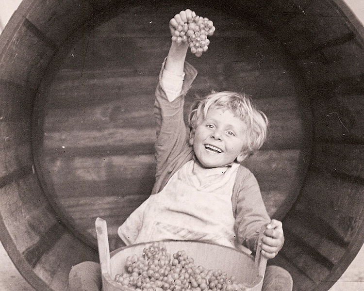 Die Geschichte des REBgut Lauda: vom Weinversuchsgut zur Kulturgastronomie