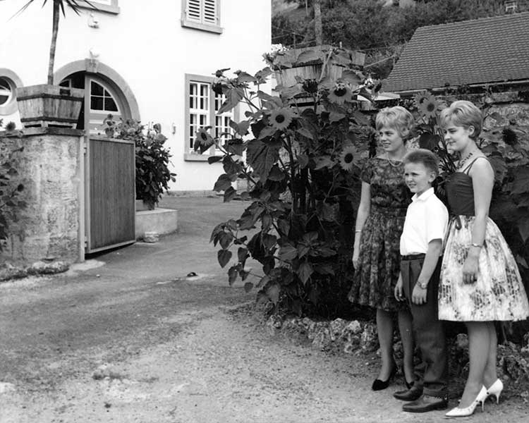 Die Geschichte des REBgut Lauda: vom Weinversuchsgut zur Kulturgastronomie