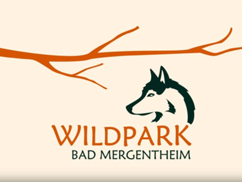 Wolfsrudel und Waldrapp: extrem seltene Tiere im Wildpark Bad Mergentheim Wolfsrudel und Waldrapp: extrem seltene Tiere im Wildpark Bad Mergentheim